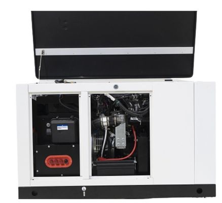 10kw15kw aardgas 1-fase propaan-butan mengsel LPG gas generator voor uw voordeel