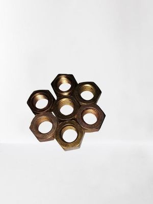Brus gieten van hexageweldmoeren van roestvrij staal voor toepassingen voor zware uitlaatbuizen