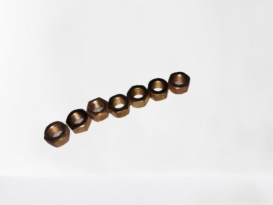 Brus gieten van hexageweldmoeren van roestvrij staal voor toepassingen voor zware uitlaatbuizen