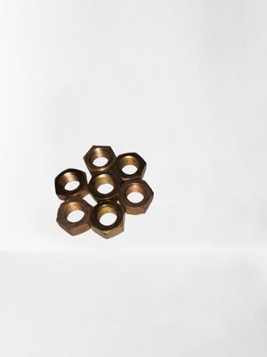 Brus gieten van hexageweldmoeren van roestvrij staal voor toepassingen voor zware uitlaatbuizen