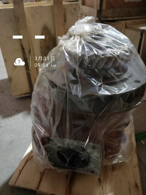 DC-uitgang 200 kW 12V190t. 22.00 Waterpompassemblage voor Shengdong gasmotor