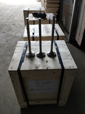 Aanpassing 118KG W12V190.03.01 Inlaatklep voor 500 kW aardgasgenerator Shengdong