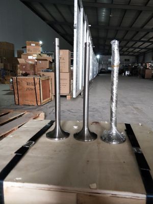 Aanpassing 118KG W12V190.03.01 Inlaatklep voor 500 kW aardgasgenerator Shengdong
