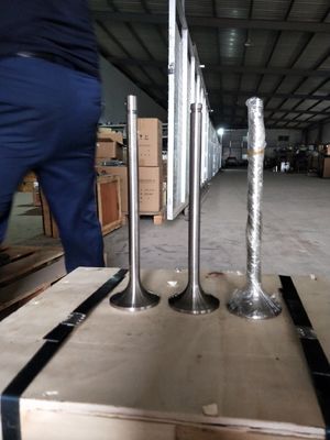 Aanpassing 118KG W12V190.03.01 Inlaatklep voor 500 kW aardgasgenerator Shengdong