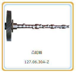 DC-uitgang 200 kW 127.06.30-Z Camshaft-assemblage voor delen van Shengdong-gasmotoren