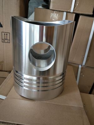 12V190 Motor T22.05.01 Shengdong aangepaste aanvraag DC-uitvoer type zuiger