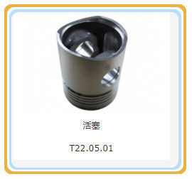 12V190 Motor T22.05.01 Shengdong aangepaste aanvraag DC-uitvoer type zuiger