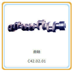 Standaardcomponent 12V190 Model Shengdong Motoronderdelen met uit Jinan Guohua