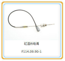 12V190 Shengdong motoronderdelen Standaardcomponent Cylinderkop voor klantvereisten