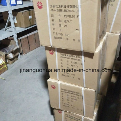 G12V190zldt1-2 Jinan Natural Gas Generator Parts Waterpomp per niet-standaardcomponent