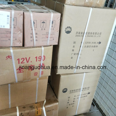 G12V190zldt1-2 Jinan Natural Gas Generator Parts Waterpomp per niet-standaardcomponent