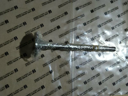 Jinan Guohua Boat Engine Parts Piston voor Jichai Generators en ISO 9001 geaccrediteerd