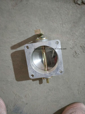 Standaard H16V190zlt-2 gesloten elektronische besturing van gasmotoren voor Jichai/Jinan