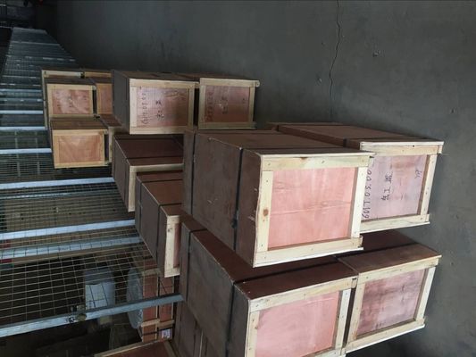 Watermedia Pilot Piston Structure Marine Engine Parts voor Jinan Diesel Engine Series 8190
