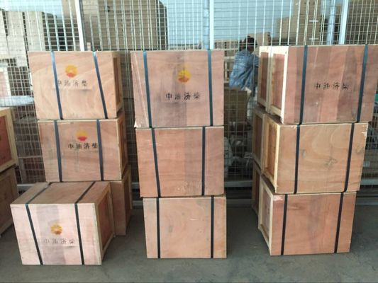 Watermedia Pilot Piston Structure Marine Engine Parts voor Jinan Diesel Engine Series 8190