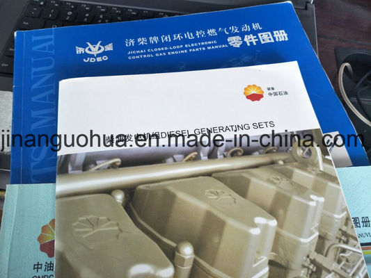 Natuurgasdrukregelaar 500GF-T Jichai Shengdong 190 cilinder CE-gecertificeerd