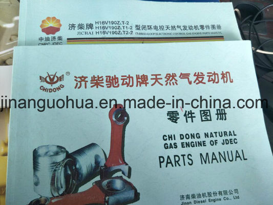 Natuurgasdrukregelaar 500GF-T Jichai Shengdong 190 cilinder CE-gecertificeerd