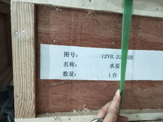 12V190 Waterpomp G12V190 12vb. 22.00b met ISO 9001-certificering