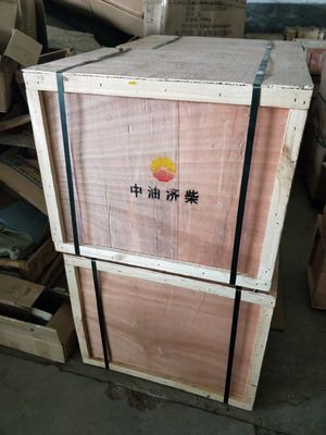 Z12V190bc10 Jinan Diesel motor onderdelen op maat voor uw behoeften