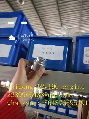 Co1300f-3/25 Model Bl12V190 Zl-3 Jinan Dieselmotoronderdelen met ISO9001-certificering