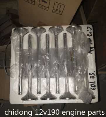 Co810f-3/22 G12V190zl-3 Jinan Diesel Engine Parts 12V190 De zuigerpen op betaalbare prijs
