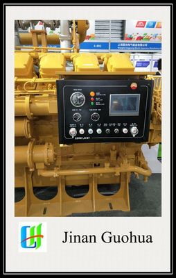 Landomstandigheden Aanpassing voor 12V190 serie Diesel generator onderdelen Aanpassing