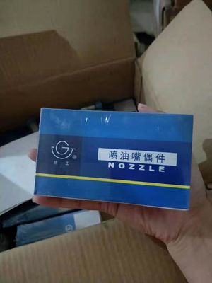 12V190/8190/6190/16V190 Generator Injection Pump Assembly voor dieselmotoren in Rusland
