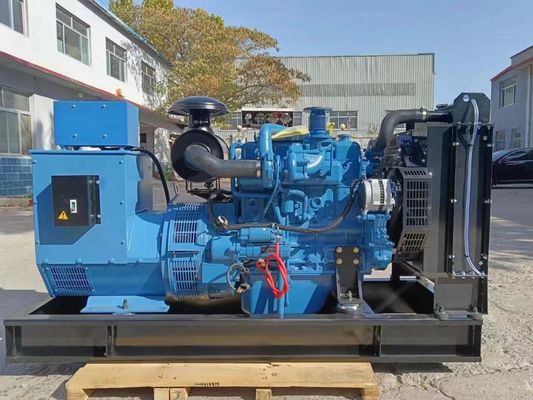 AC Roterende Exciter 50kw Yuchai Gas Generator voor huishouden en in uw keuze van kleur