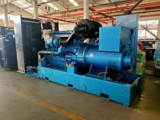 AC Roterende Exciter 50kw Yuchai Gas Generator voor huishouden en in uw keuze van kleur