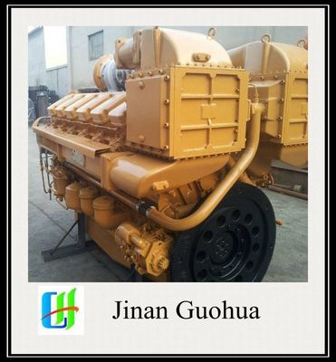 12V190 Biogas Generator Aanpassing Aanpassing Aanvraag 500kw Biogas Generator