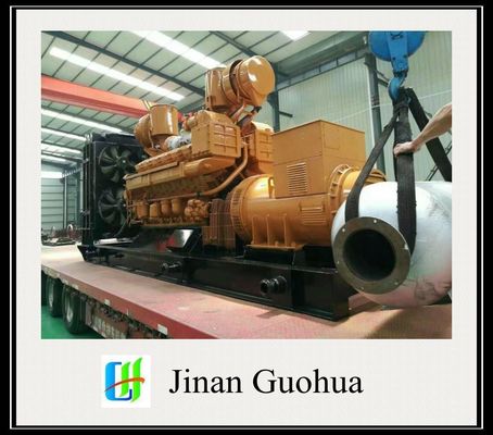12V190 Biogas Generator Aanpassing Aanpassing Aanvraag 500kw Biogas Generator