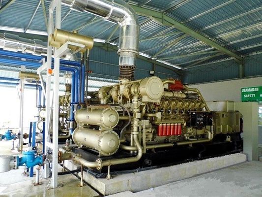 Niger 1000kw aardgasgenerator met 16V190zlt2-2 en ISO-certificering