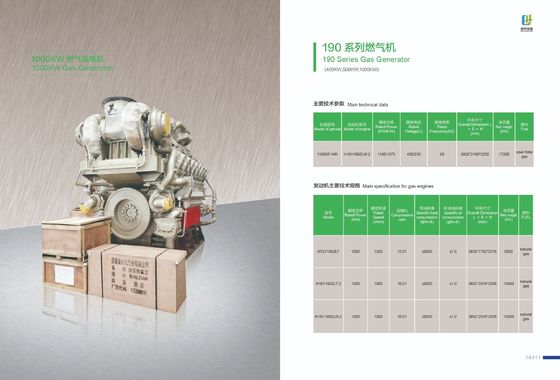 190-serie 500GF-Nk-gasgenerator Aanpassingsoptie voor driefasige AC-uitgang