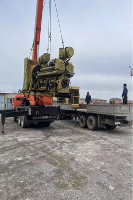 600kw Biogas Genset Gas Generator Set CFR Incoterm Aanpassing Aanpassing