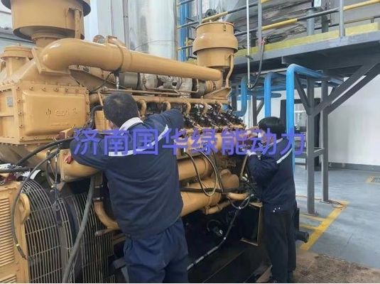 600kw Biogas Genset Gas Generator Set CFR Incoterm Aanpassing Aanpassing