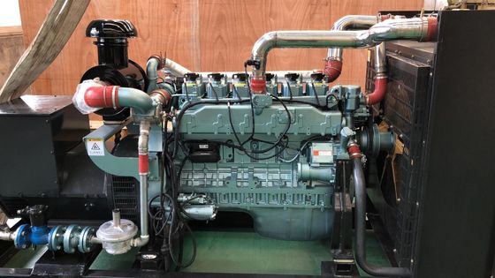 200 kW biogasgasgenerator met een hoge snelheid en een natuurlijke inademingspuls
