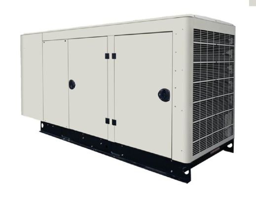 Biogasgenerator van 60 kVA voor slachthuizen 1500 / 1800 Rmp